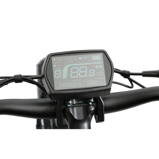 LCD Display-Street Rides
