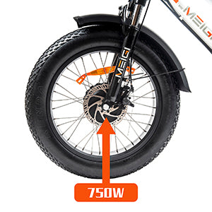 BAFANG 750W Brushless High-Speed Motor-DWMEIGI MG1703 750W Electric Trike - Street Rides