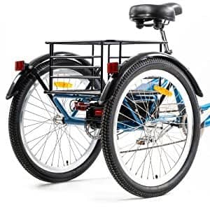 Wide Basket for Cargo-DWMEIGI MG708 - Urban Electric Tricycle - Street Rides