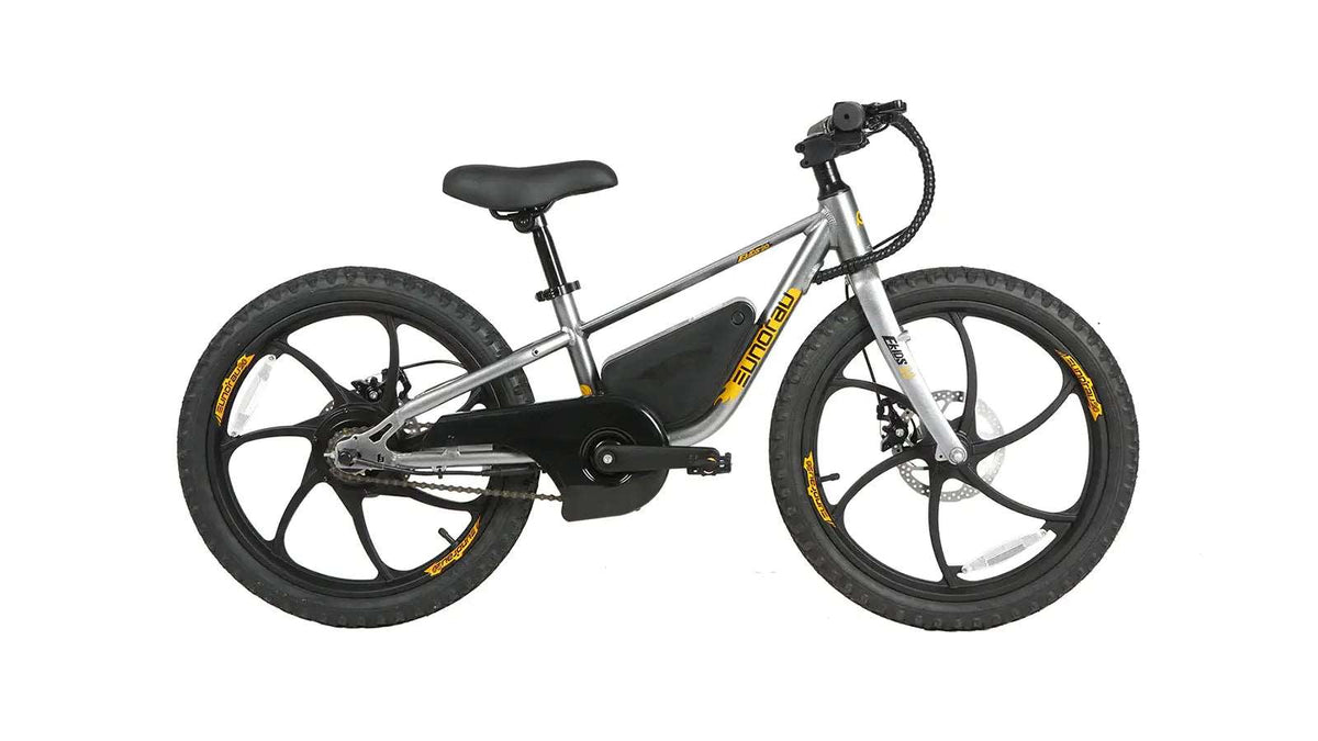 Eunorau EKids 20 Electric Bike - Street Rides