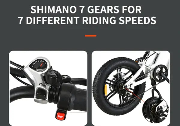 KUGOO T01 Fat Tire Electric Bike 48V 500W Motor-Street Rides