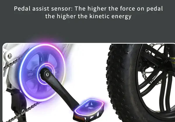 KUGOO T01 Fat Tire Electric Bike 48V 500W Motor-Street Rides