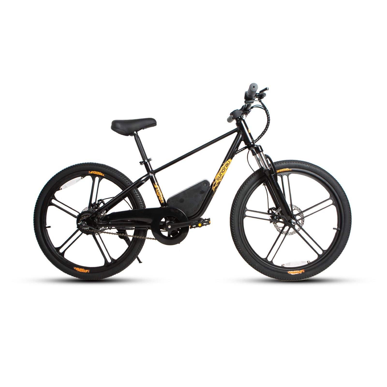 EUNORAU EKIDS24 1.0 Electric Bike - official product image 5