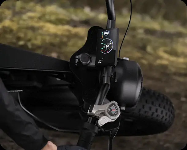 CycHunter Vintage Electric Bike-Dual Battery 1000w-Street Rides