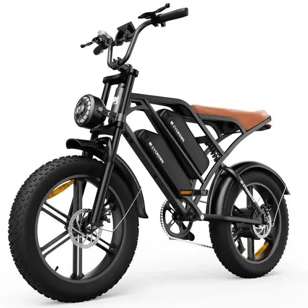 CycHunter Vintage Electric Bike-Dual Battery 1000w-Street Rides