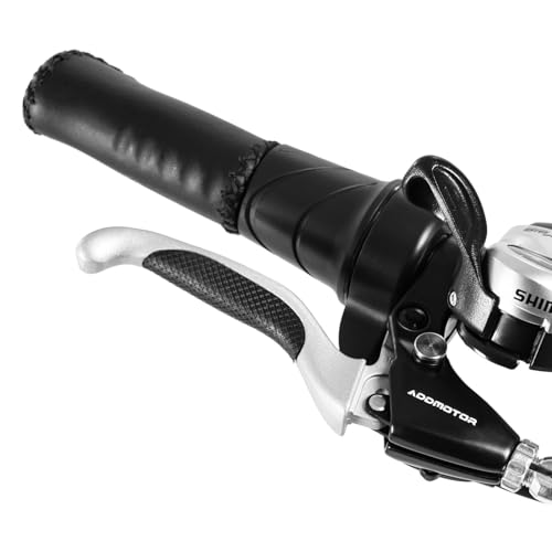 Addmotor Arisetan II M-360 Semi-Recumbent Electric Trike – 750W Motor, 48V 20Ah Samsung Battery, Differential Drive, Up to 85 Mile Range