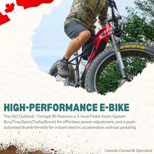 iGO CORE ELITE 3D Electric Bike – Commuter E-Bike Canada