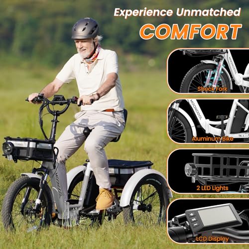 MOPHOTO electric tricycle rider and front suspension graphic