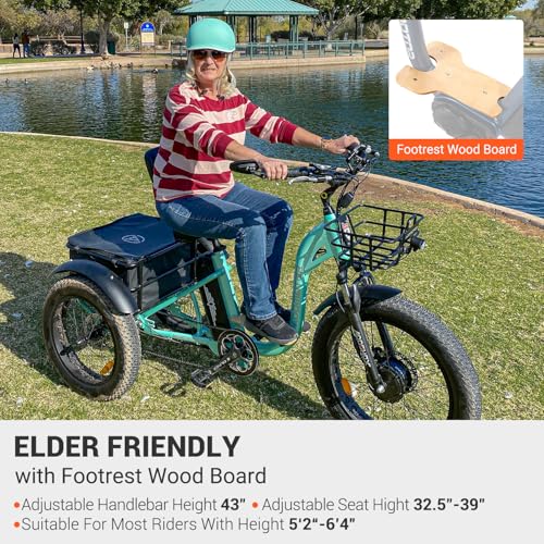 ADDMOTOR Grandtan II 750W Electric Tricycle for Adults – 48V 20AH, 85 Mile Range, Fat Tire 3-Wheel E-Trike for Seniors