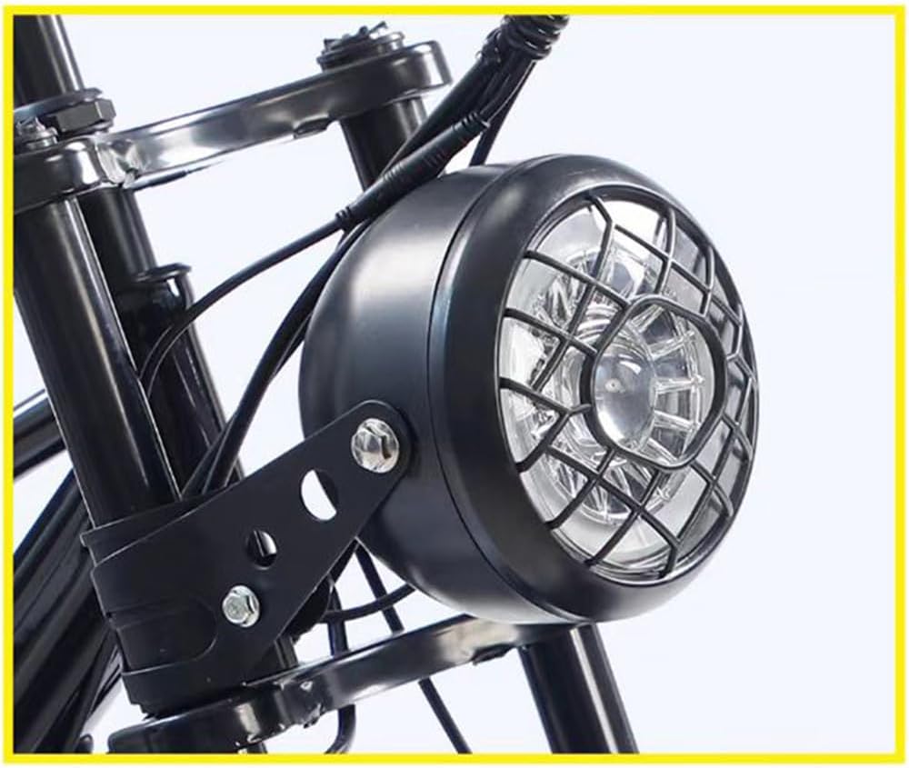 CHONGHAN Electric Tricycle 750W E-Bike Canada