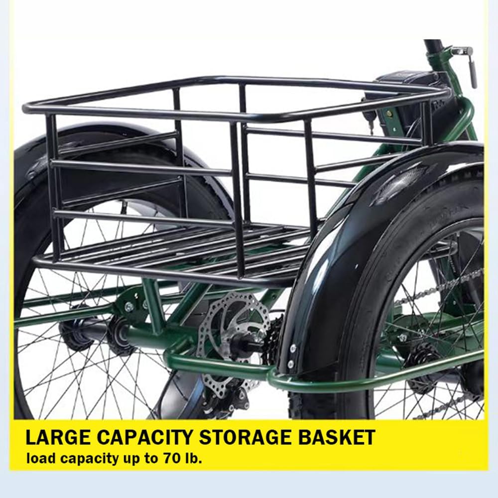 CHONGHAN Electric Tricycle 750W E-Bike Canada