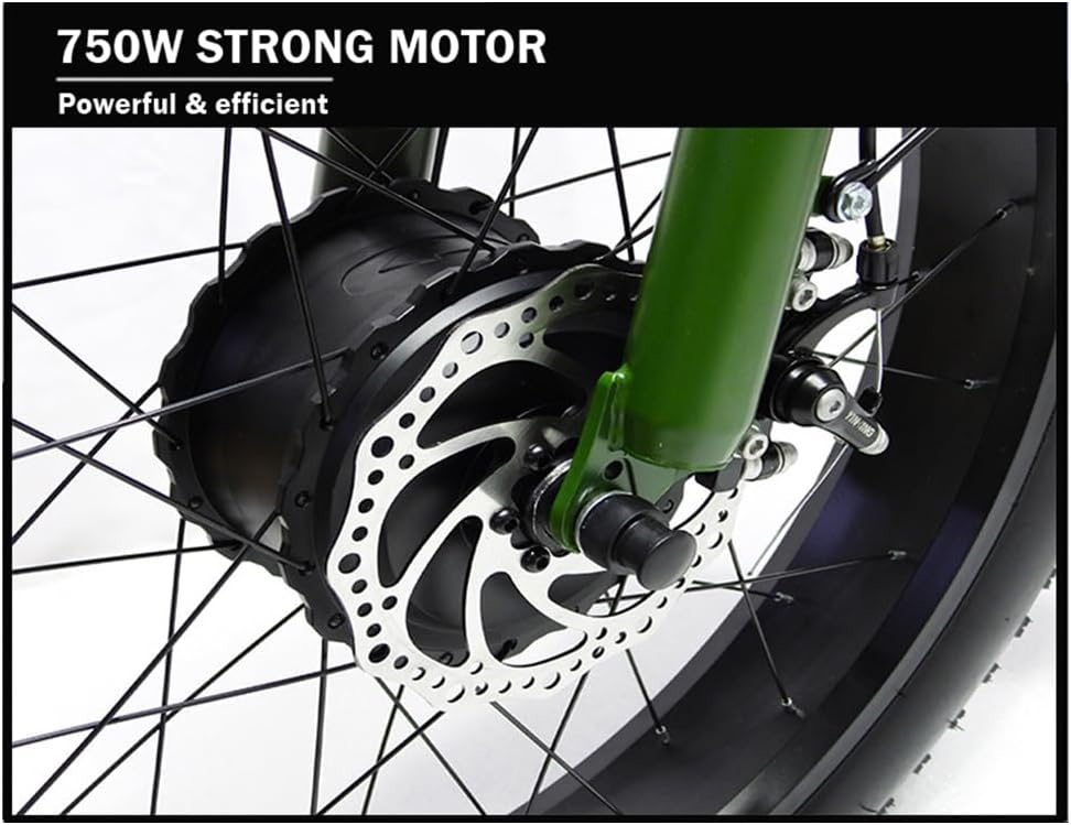 CHONGHAN Electric Tricycle 750W E-Bike Canada