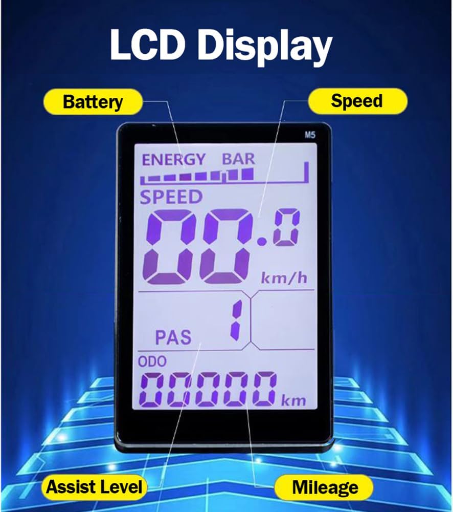 CHONGHAN Electric Tricycle 750W E-Bike Canada