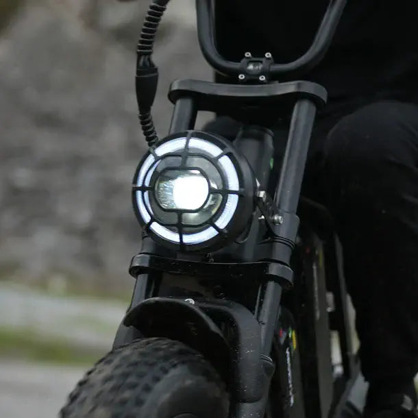 CycHunter Vintage Electric Bike-Dual Battery 1000w-Street Rides