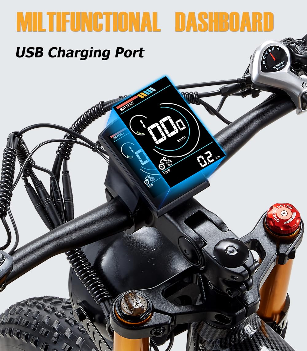 BIGUODIR 2000W Dual Motor Fat Tire E-Bike Canada