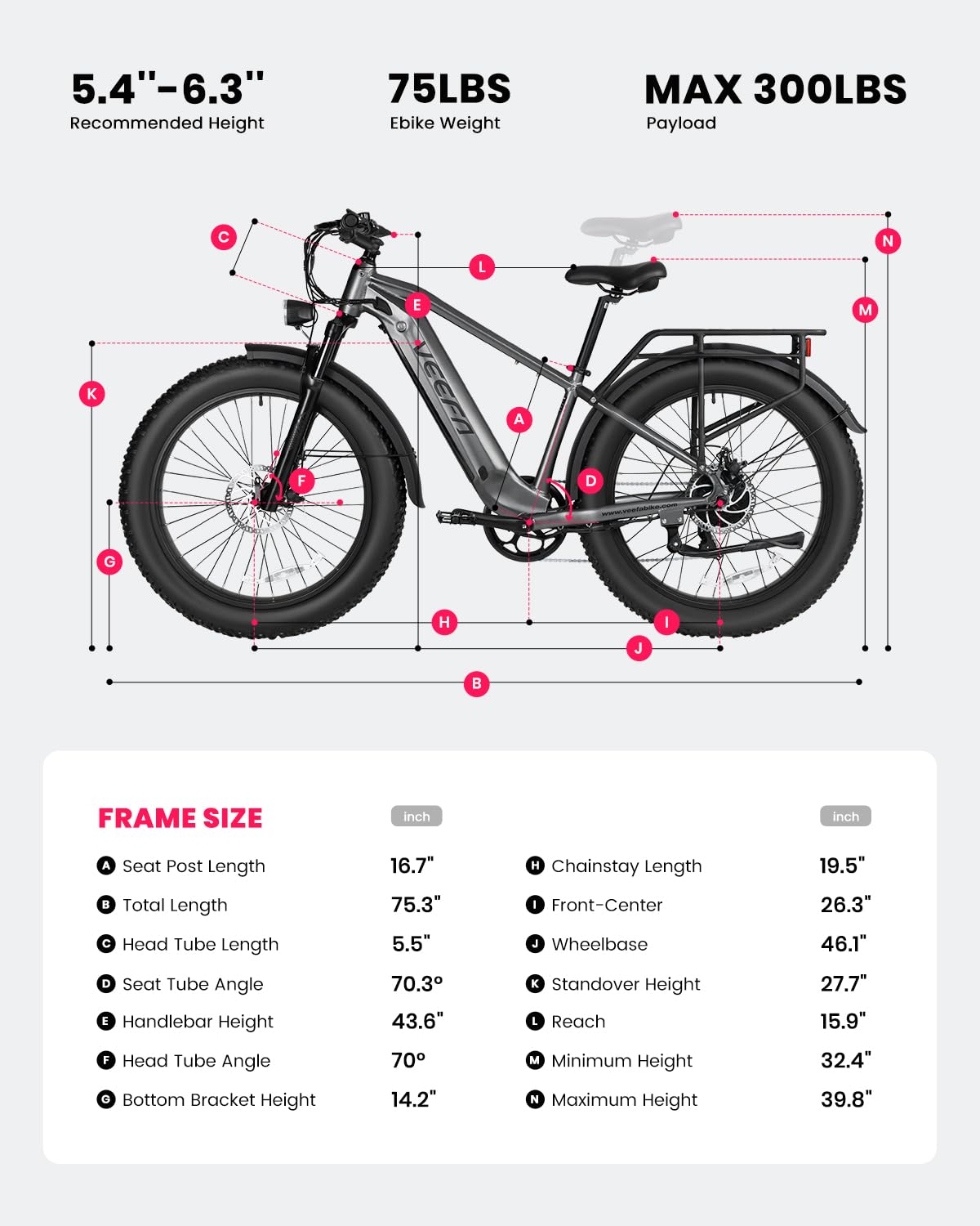 VEEFA Electric Bike for Adults Peak 1000W