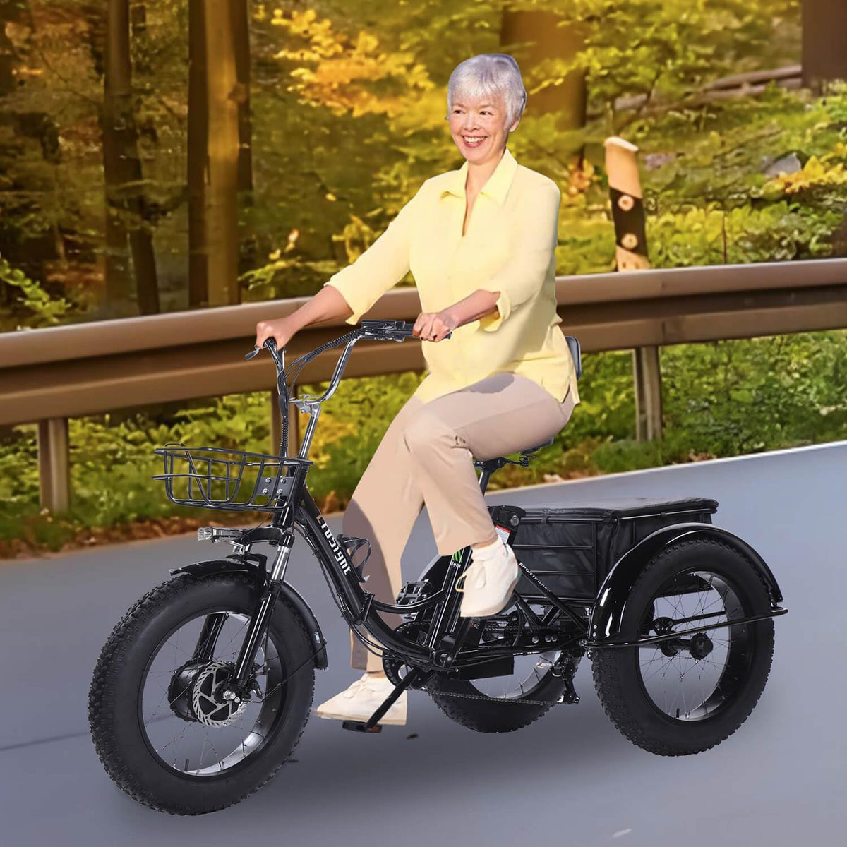 CroSight Folding Electric Tricycle 750W Fat Tire Canada