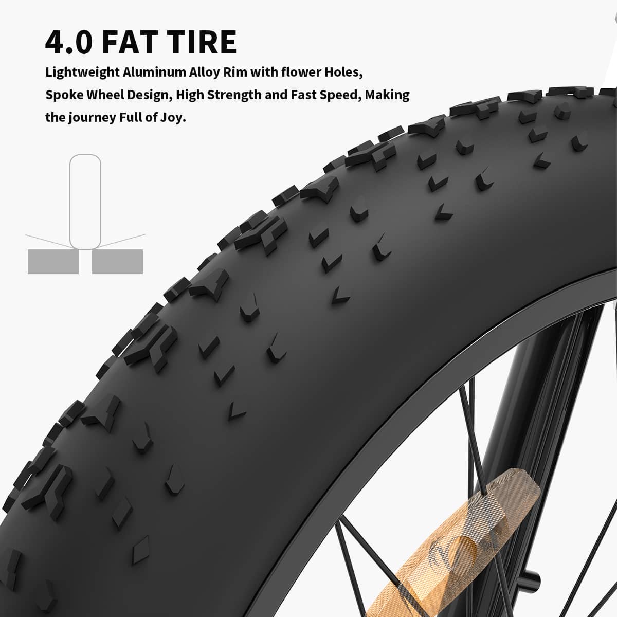 Aostirmotor Step-Through Electric Bike, S07-G, 750W-Fat Tire - Street Rides