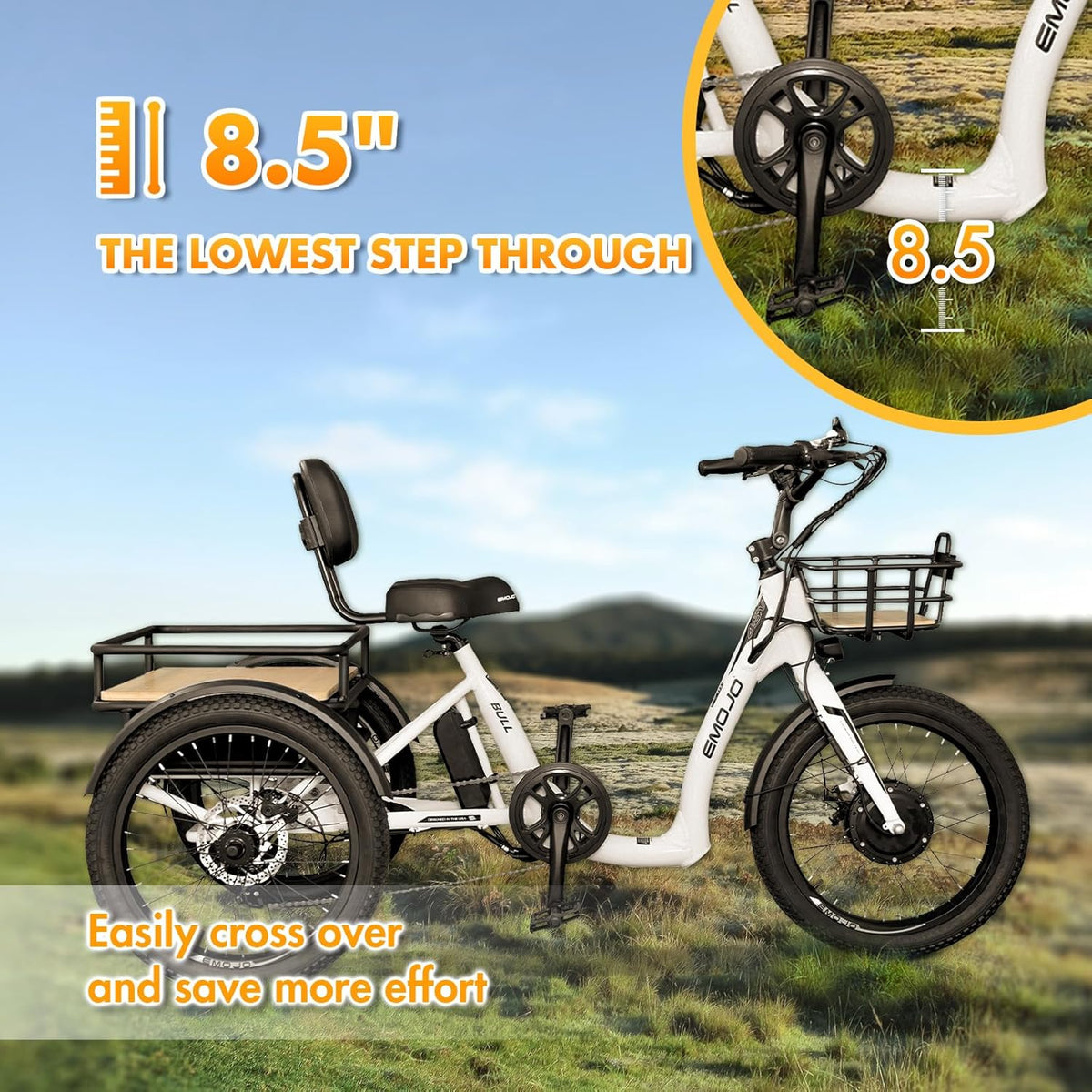 EMOJO Bull Electric Tricycle - Detail View