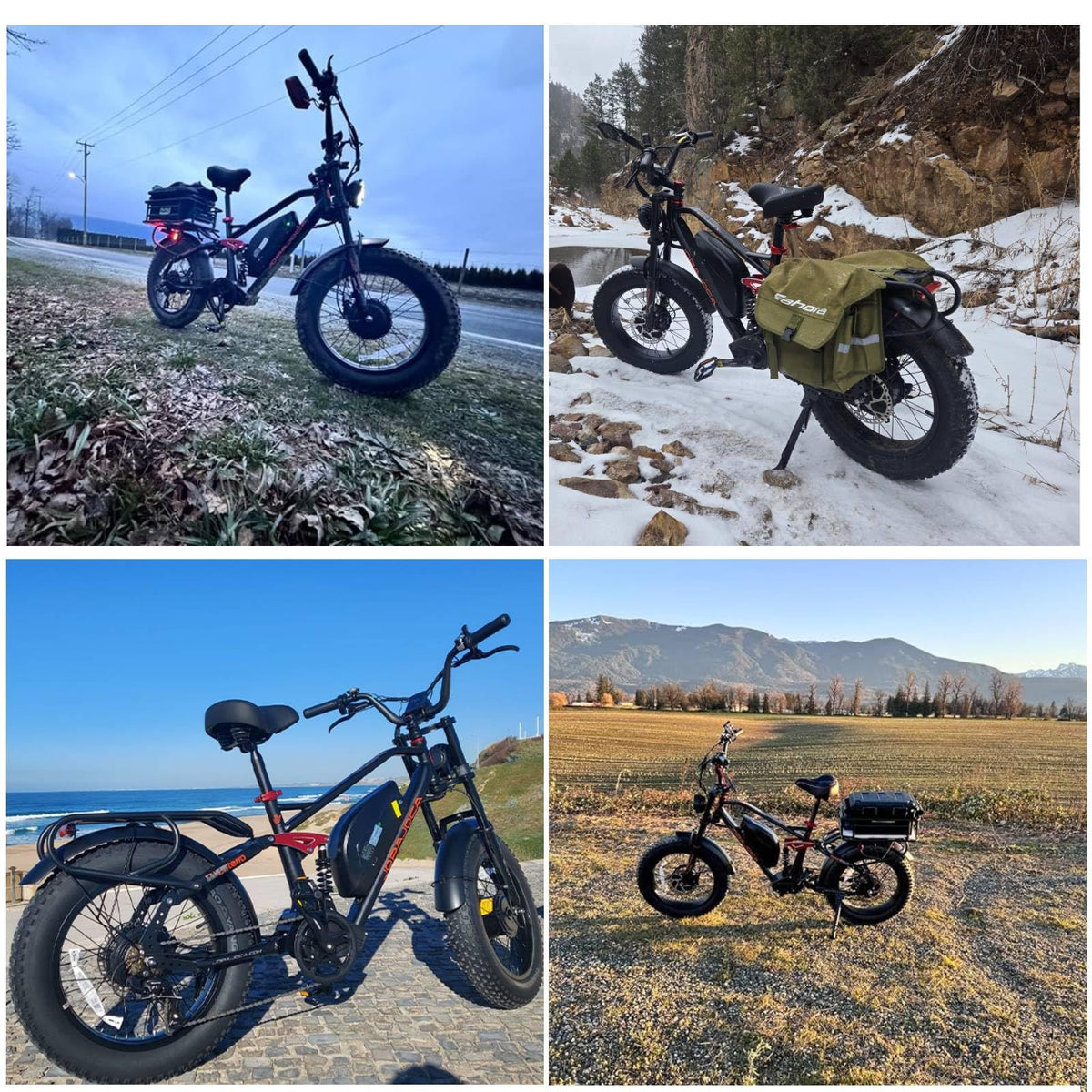 eAhora Terra 1500W Peak E-Bike Canada – Power Unleashed