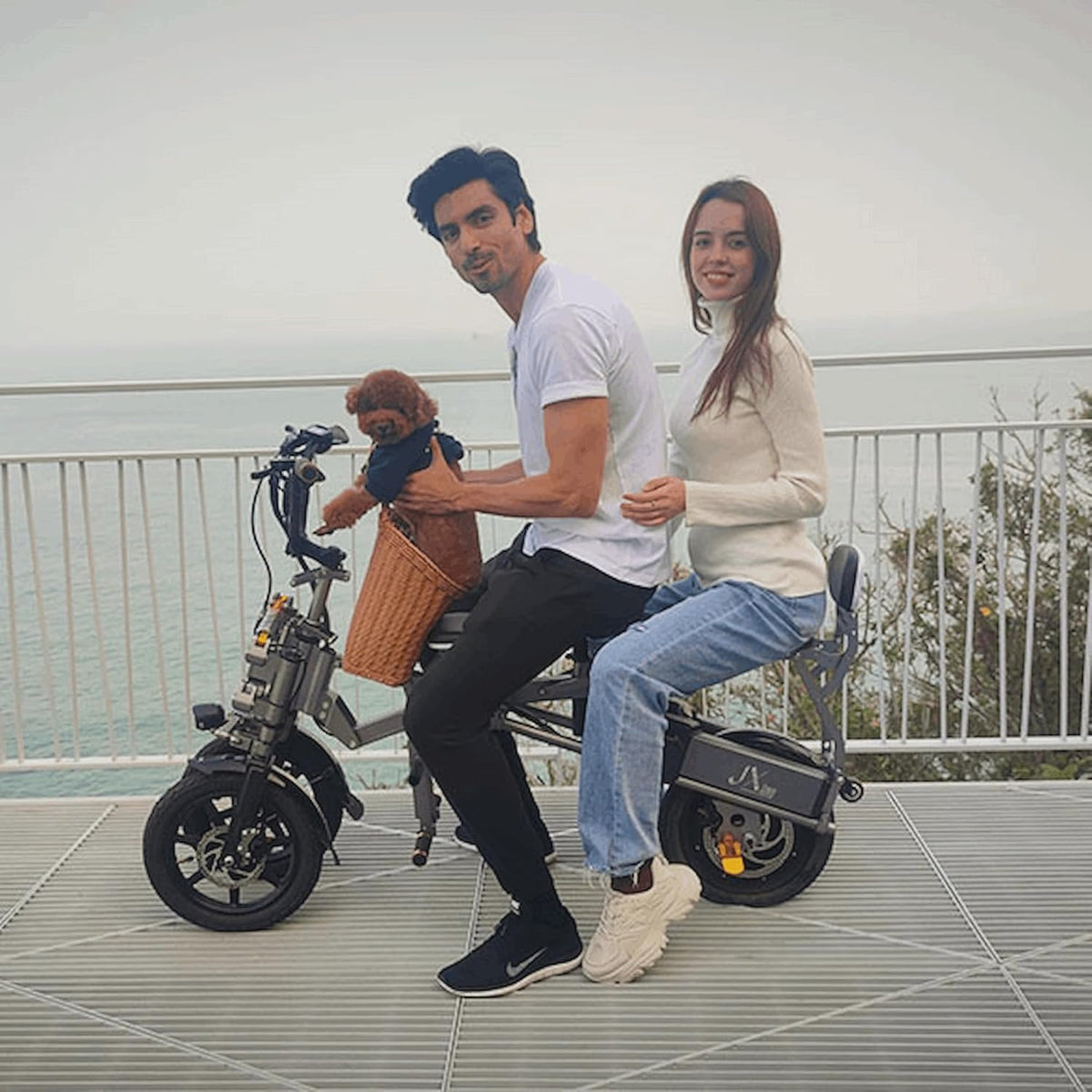 Afreda S6 Folding Electric Trike 500W – Canada