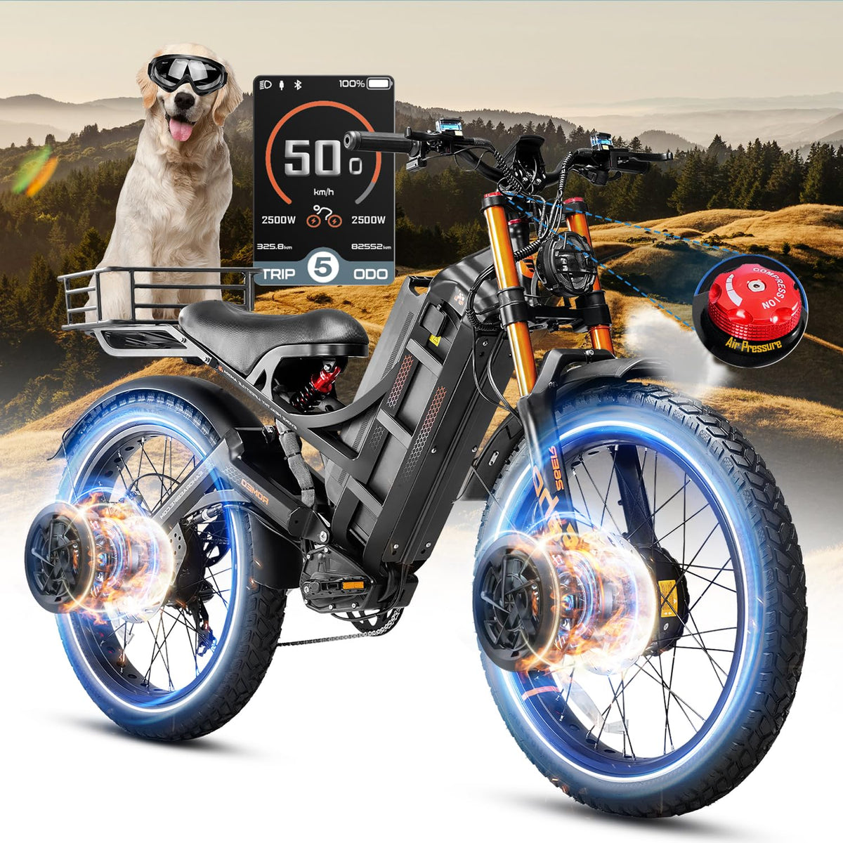 eAhora Romeo Pro Ⅲ Electric Bike Canada – Dual Motor, Long-Range Off-Road Power