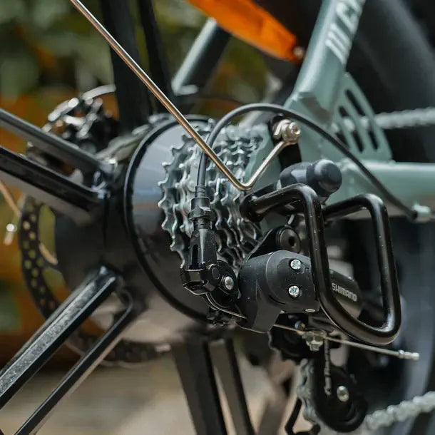 CycHunter Vintage Electric Bike-Dual Battery 1000w-Street Rides