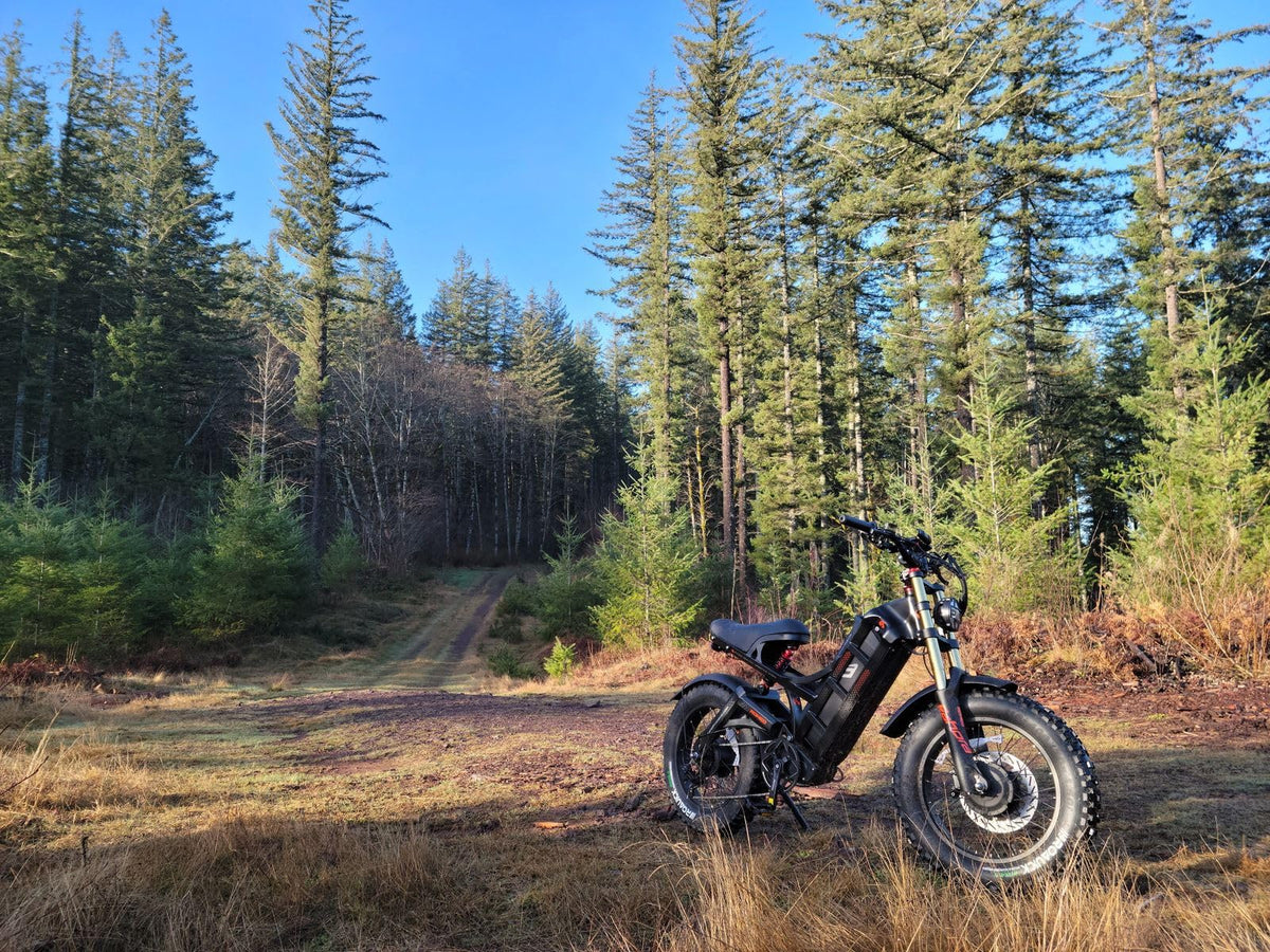 Eahora Romeo Pro Electric Bike – Long Range Fat Tire Canada