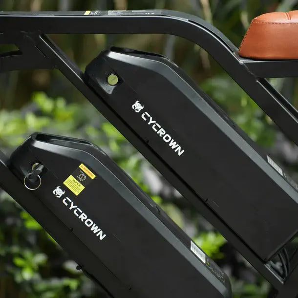 CycHunter Vintage Electric Bike-Dual Battery 1000w-Street Rides