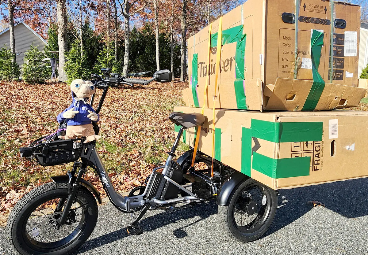 Tiniover Creek grey electric trike three-quarter view with rear cargo rack