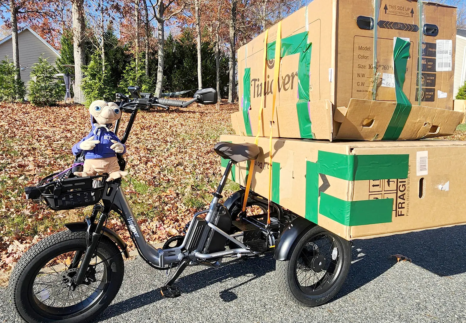 Tiniover Creek grey electric trike three-quarter view with rear cargo rack