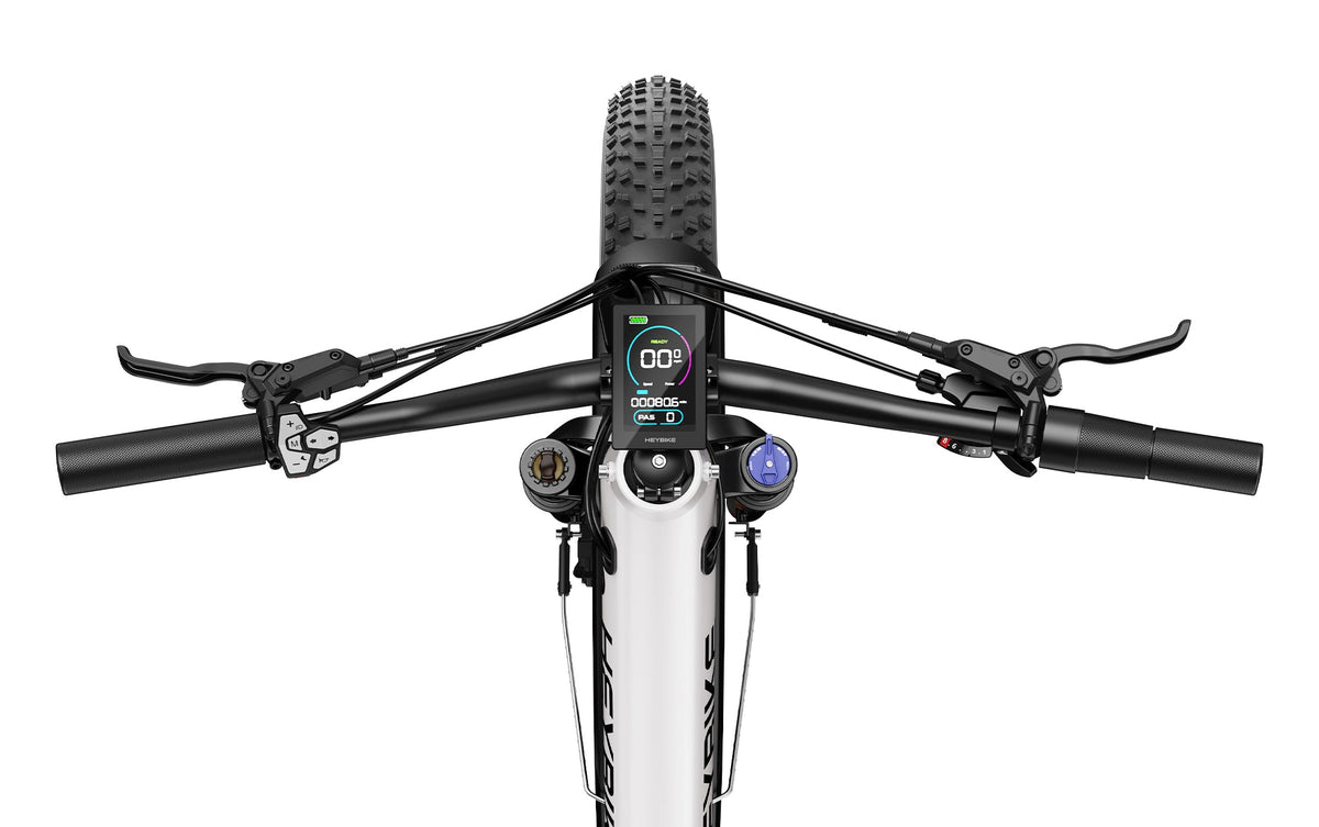 Heybike Alpha LCD display and app connection detail