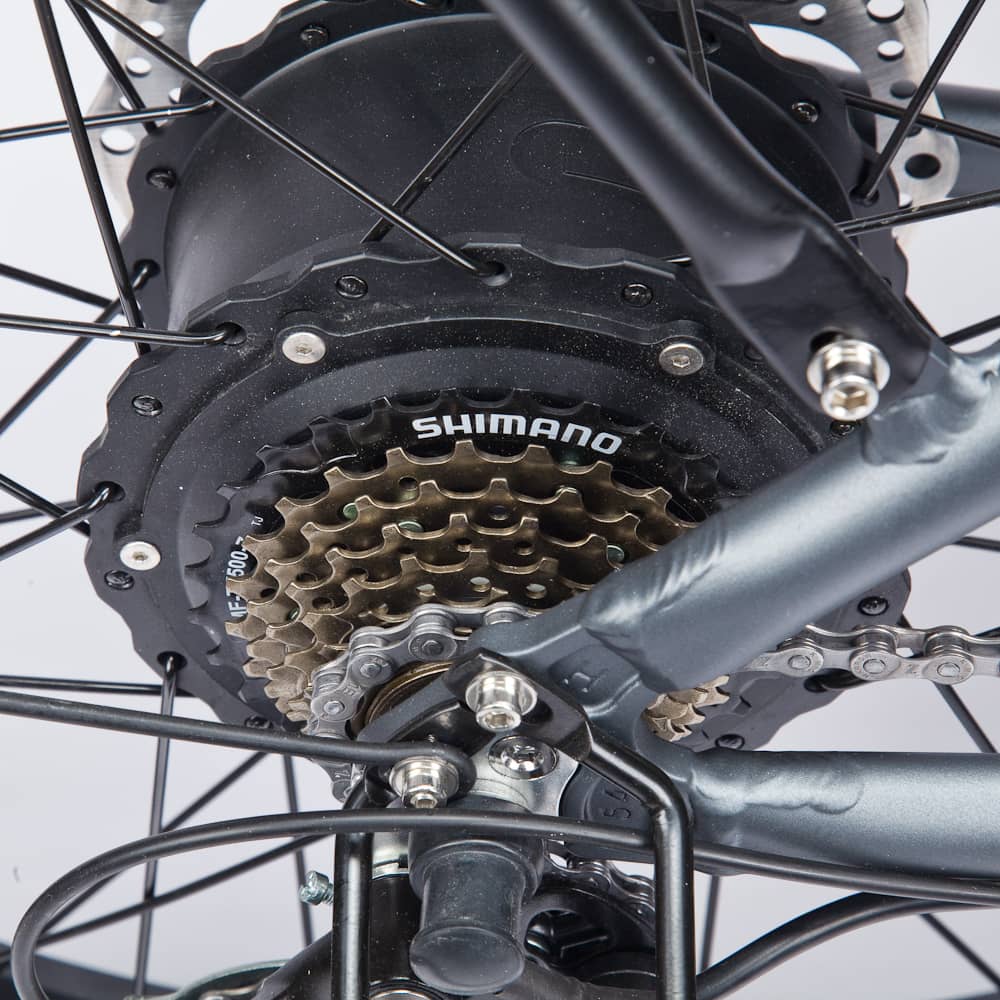 BLUEREV_2022_WARRIOR_750W MOTOR - Street Rides