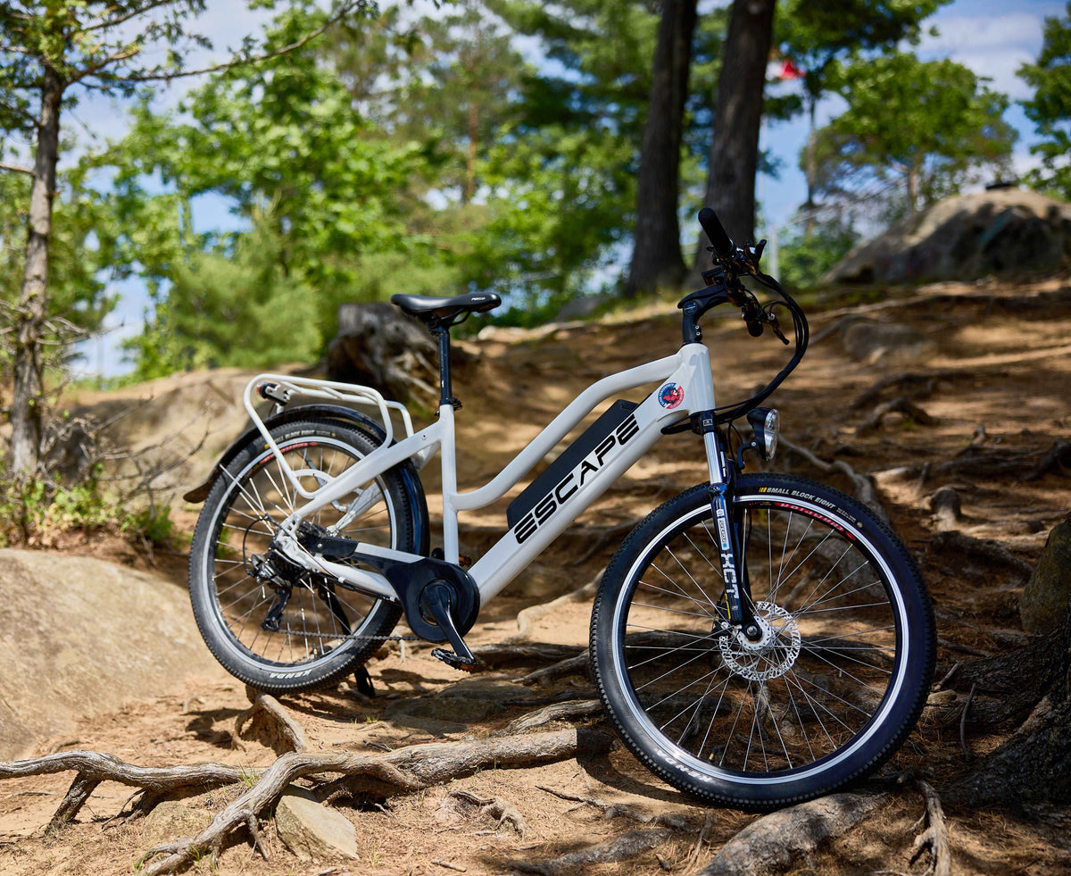 Demon Electric Escape Commuter eBike product image 5