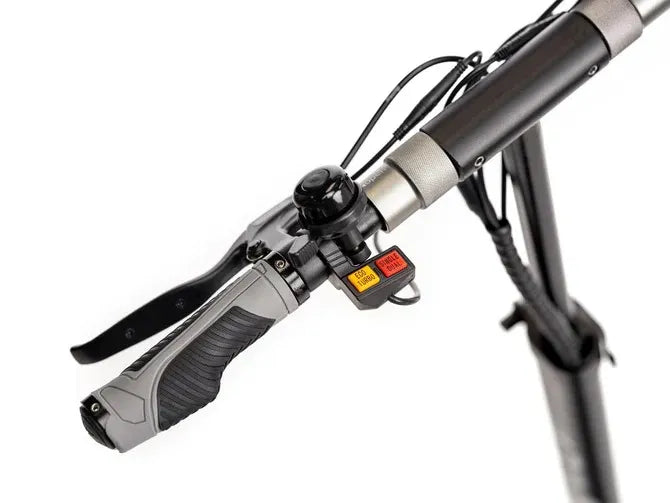 EVOLV Terra Dual Motor Electric Scooter - Street Rides