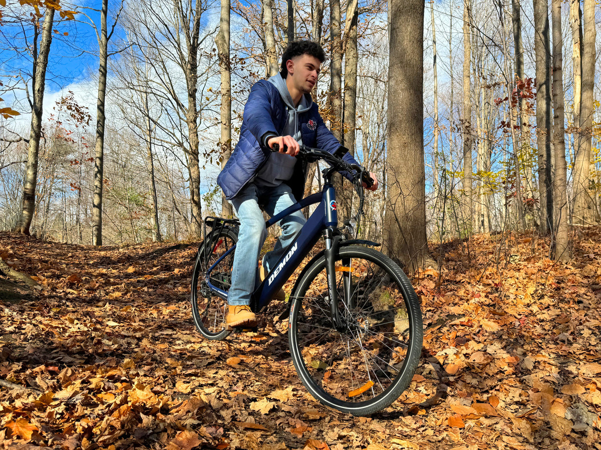 Demon Electric Phantom Touring eBike product image 2