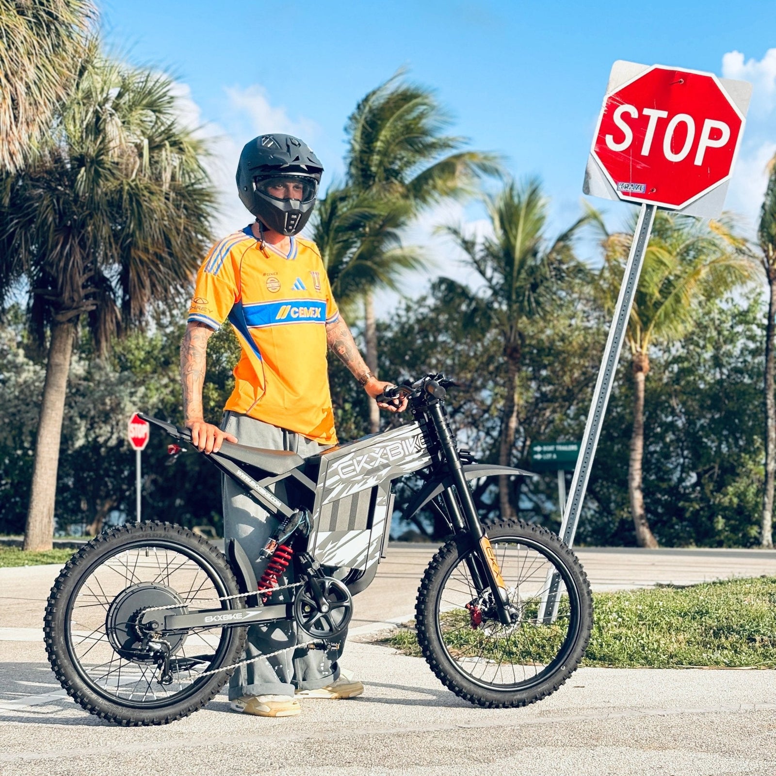 EKX TX1 steel-frame electric dirt bike side profile
