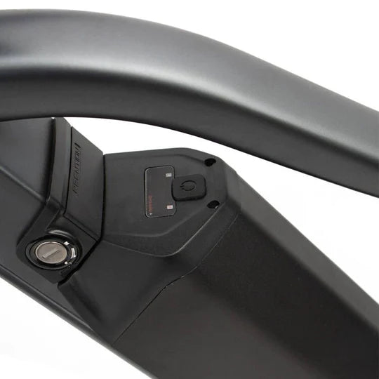 Removable Lithium-Ion Battery - Street Rides