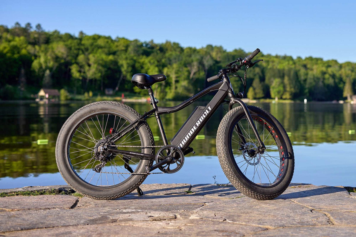Demon Electric Thunderbolt Fat Tire eBike product image 15