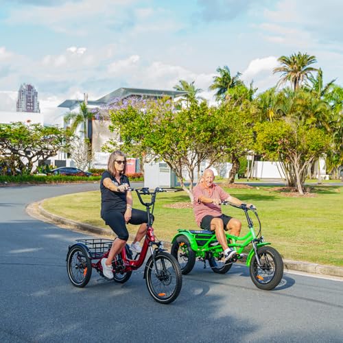 View of Addmotor CityTri E-310 folding electric trike cockpit detail
