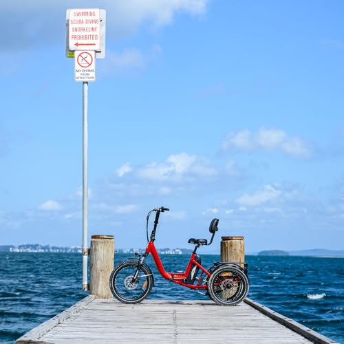 View of Addmotor CityTri E-310 folding electric trike component detail