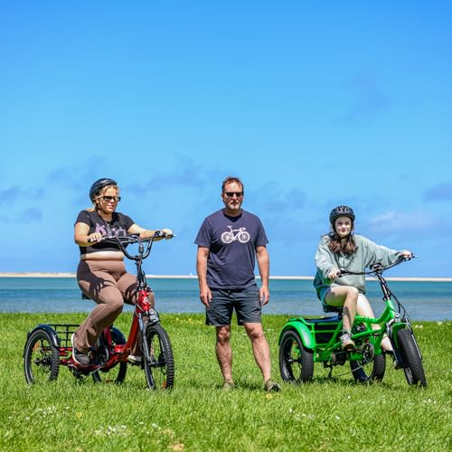 Addmotor CityTri E-310 folding electric trike rear cargo angle
