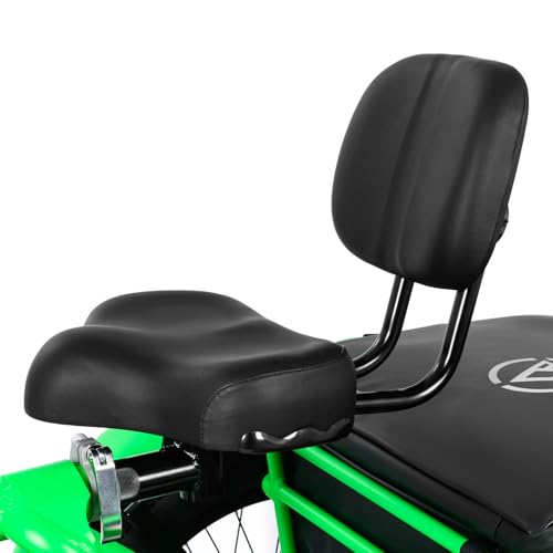 View of Addmotor M-360 semi-recumbent electric trike cockpit and controls