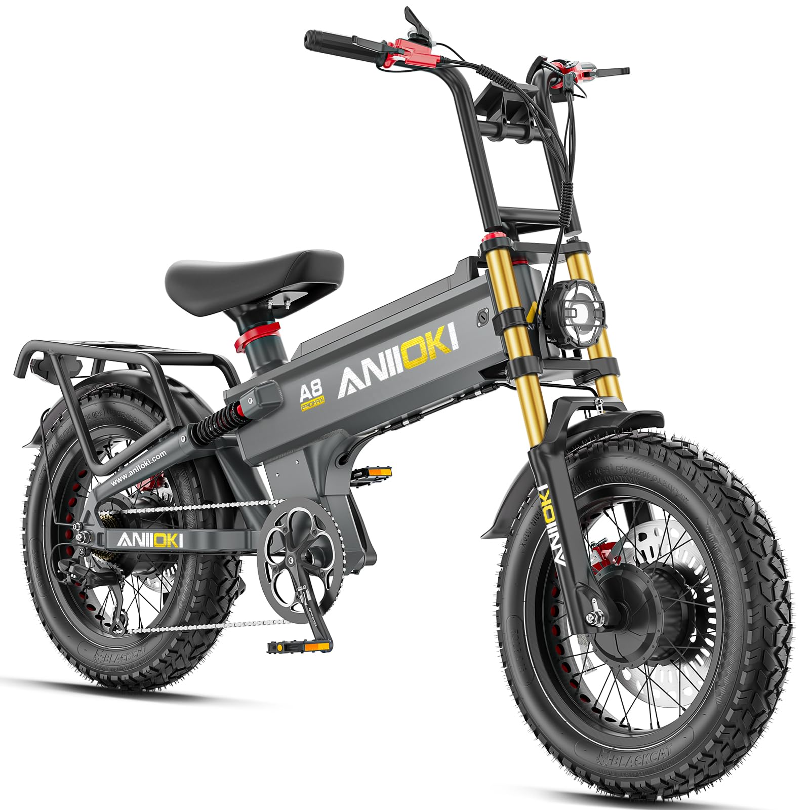 ANIIOKI A8 Pro Max dual-motor fat tire e-bike front three-quarter view
