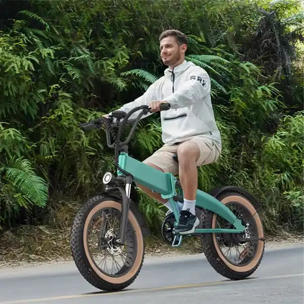 Bluerev Dolphin Folding Fat-Tire Electric Bike - official dealer image 5