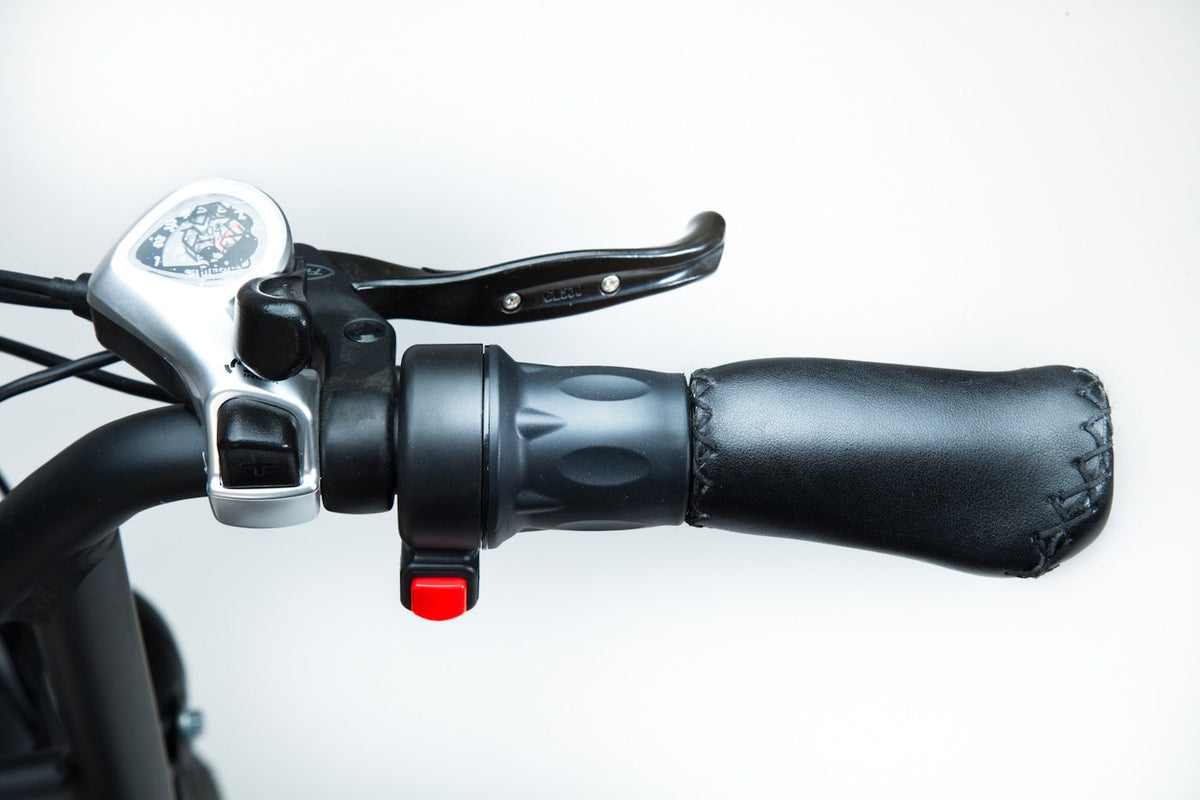 Bluerev Moto81 M-500 500W Fat-Tire Electric Bike - official product image 3