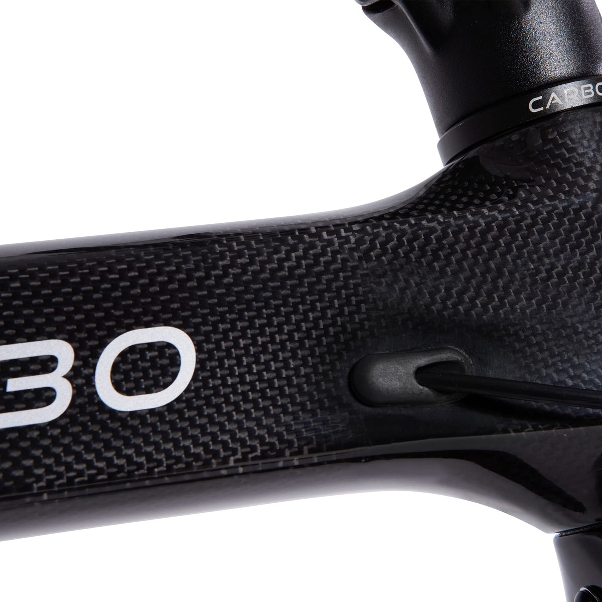 CARBO S Folding Electric Bike Canada | 250W Carbon Frame