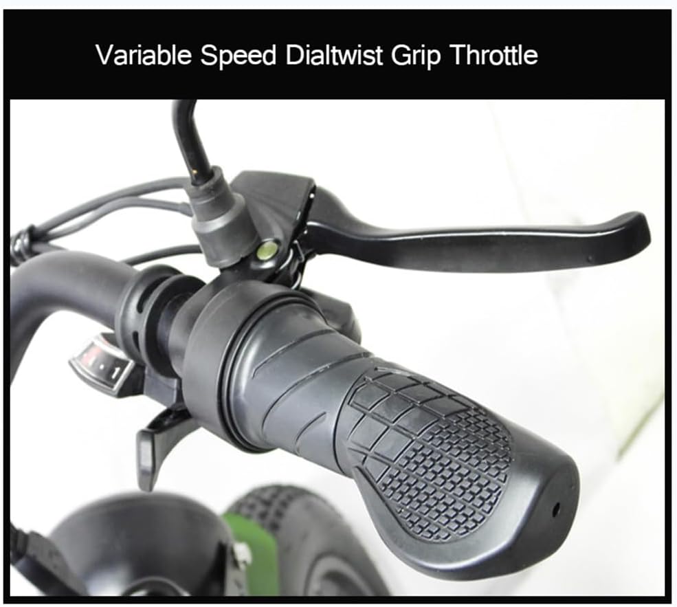 CHONGHAN 750W motor — more torque than a 500W trike lets the rider maintain speed with a loaded cargo basket uphill