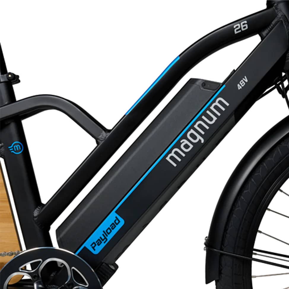 Sturdy, Easy To Mount Step-Thru Frame-Magnum Payload Electric Cargo Bike - Street Rides