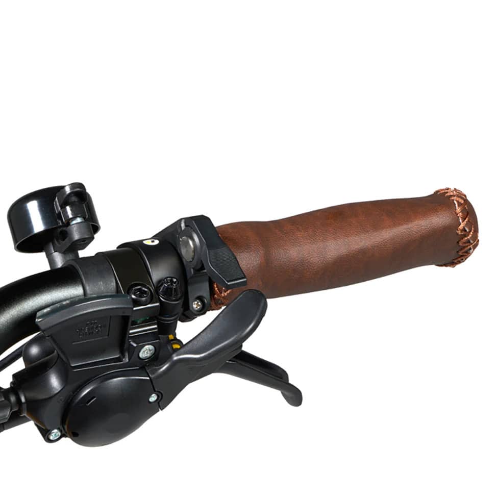 Quick-shifting Trigger Throttle-Magnum Payload Electric Cargo Bike - Street Rides